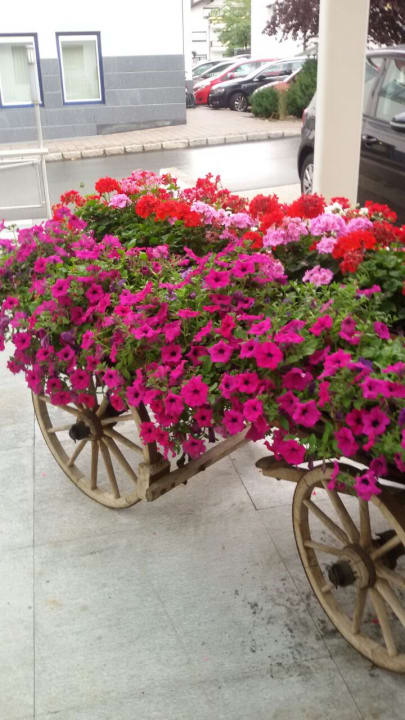 Sonstiges Vivea Hotel Bad Häring