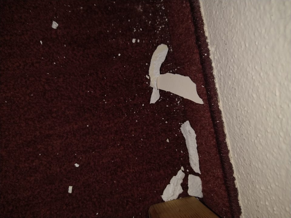 Zimmer Alphotel Tyrol