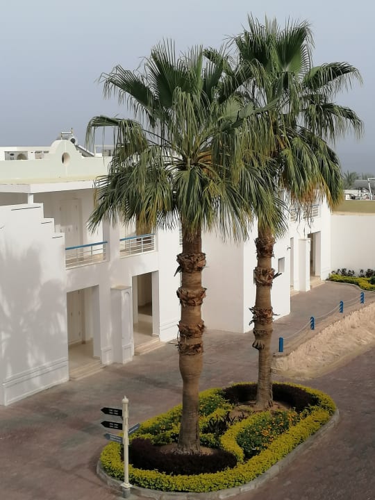 Gartenanlage Renaissance Sharm El Sheikh Golden View Beach Resort