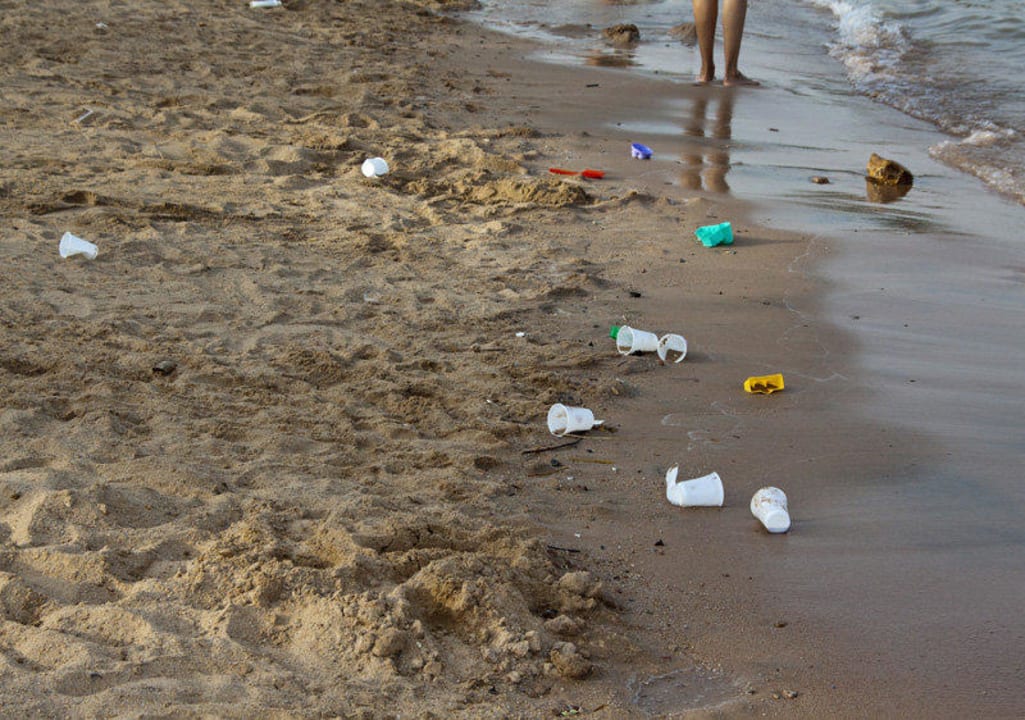 Strandgut Beach Albatros Resort