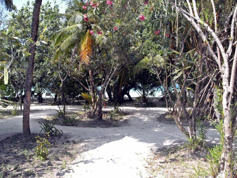 Ausblick Kuramathi Maldives