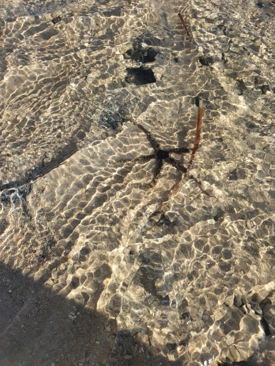 Strand Stella Beach Resort & Spa Makadi Bay