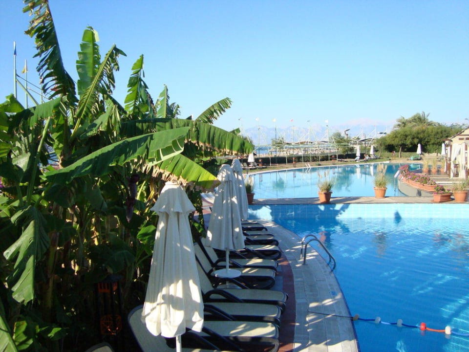 Pool Limak Lara Deluxe Hotel & Resort
