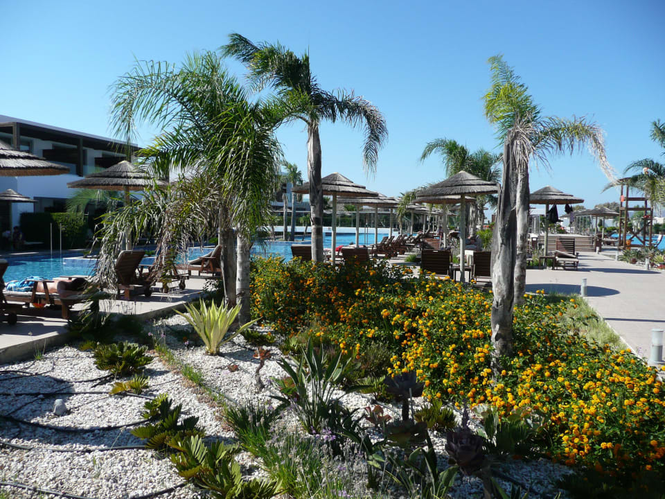 Sehr gepflegt TUI BLUE Palazzo del Mare