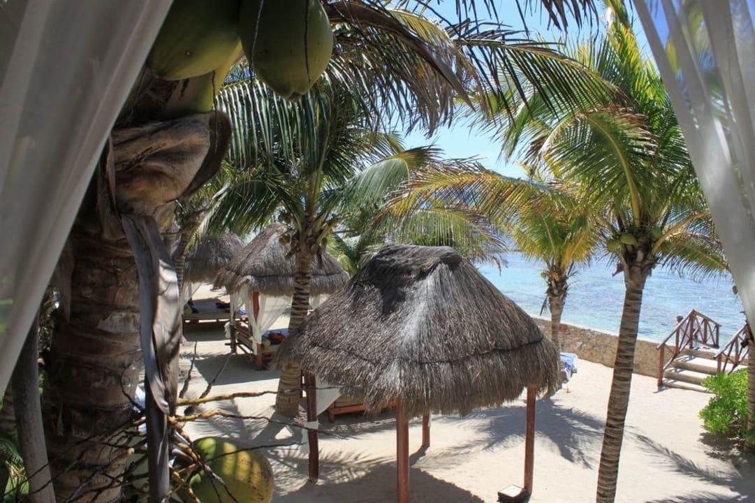 Strand TUI BLUE El Dorado Seaside Suites