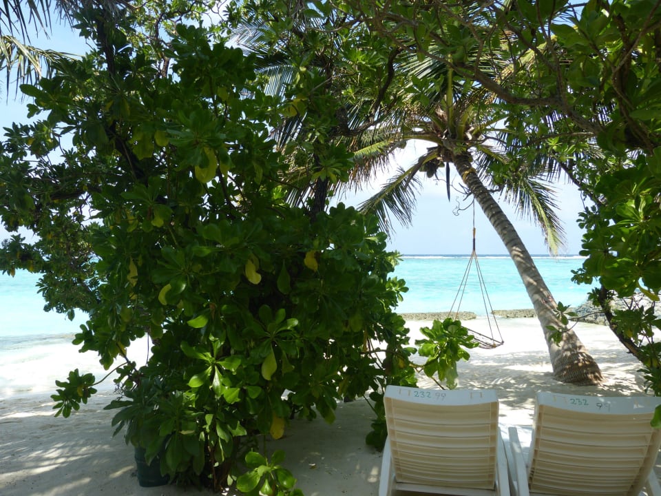 Superiorbungalow 232 Summer Island Maldives