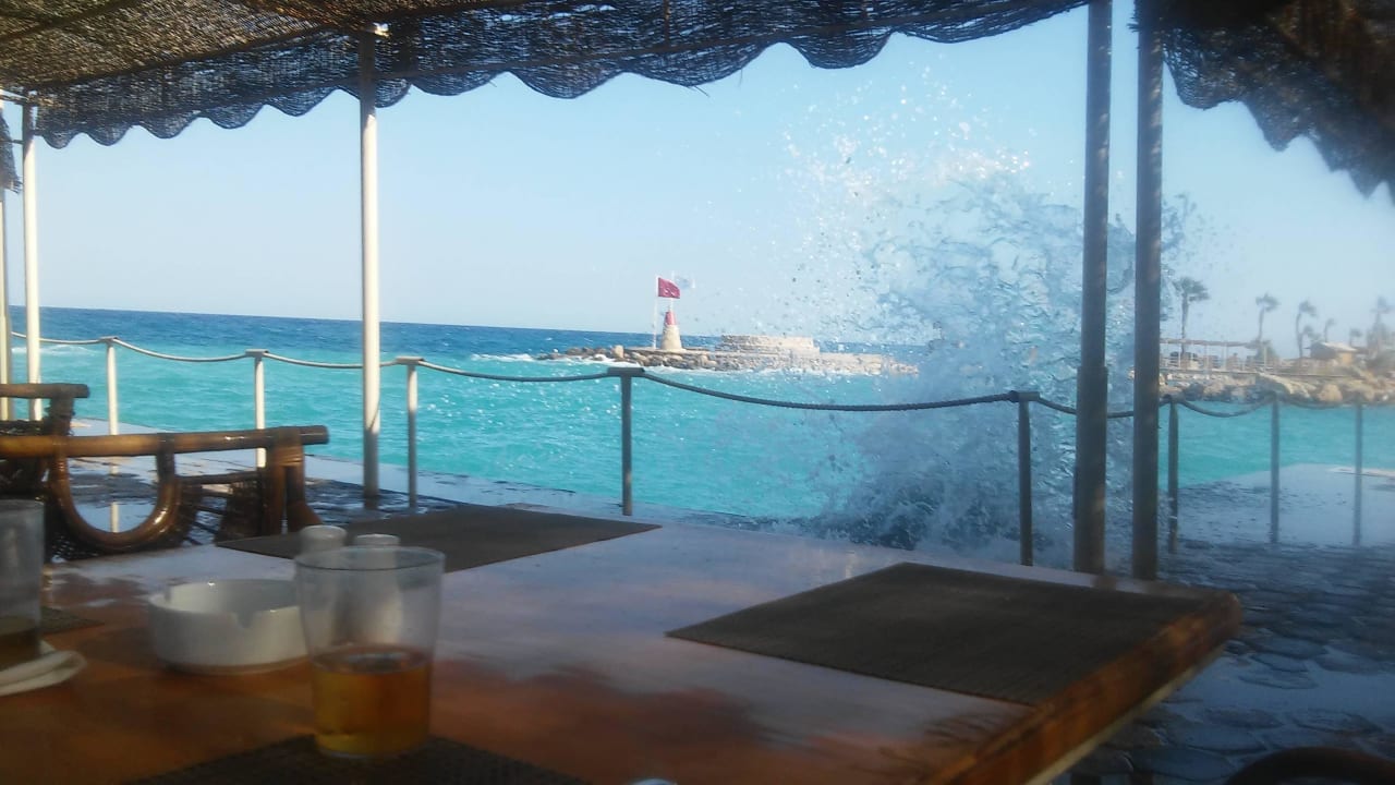 Mittagstisch direkt am Wasser möglich Pickalbatros Citadel Resort