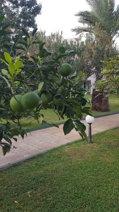 Ausblick Labranda Alantur Resort