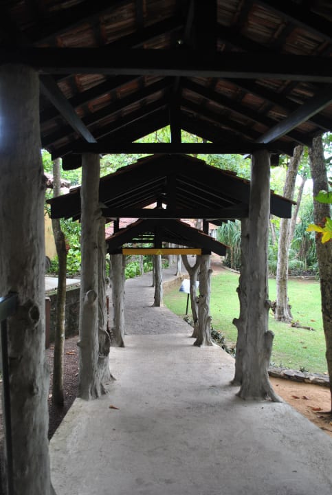 Weg zum Hauptpool Club Hotel Dolphin