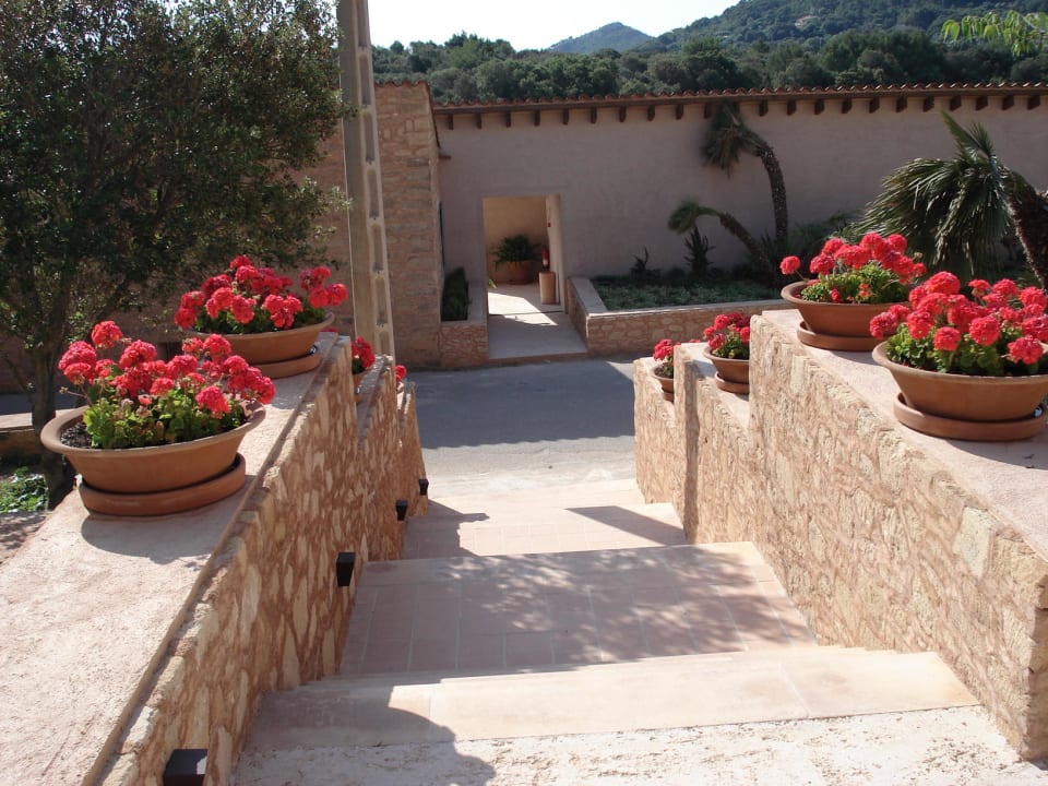 Hoteleingang - Straße - dahinter Gebäude mit Zimmern Predi Son Jaumell Hotel Rural