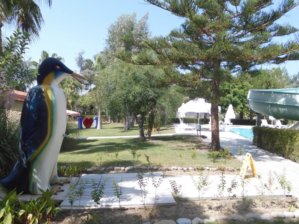 Sport & Freizeit Iz Flower Side Beach Hotel