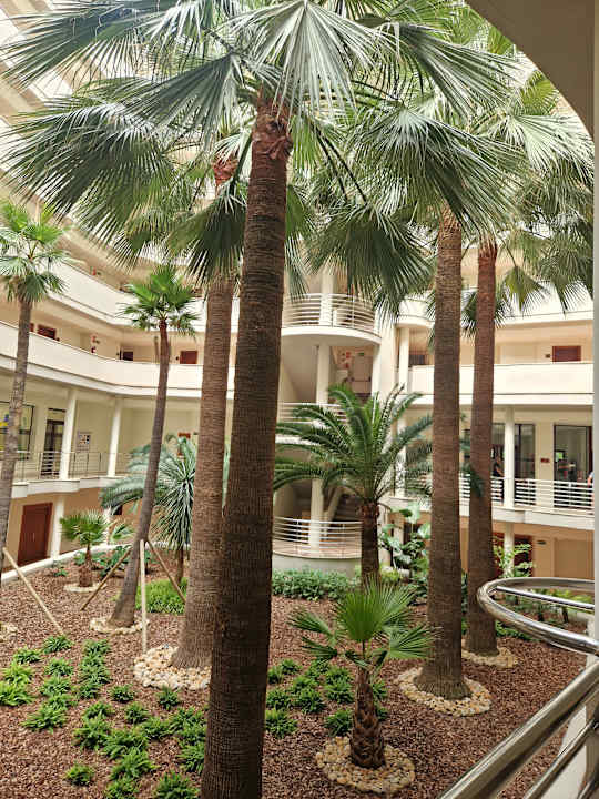 Lobby allsun App.-Hotel Orient Beach