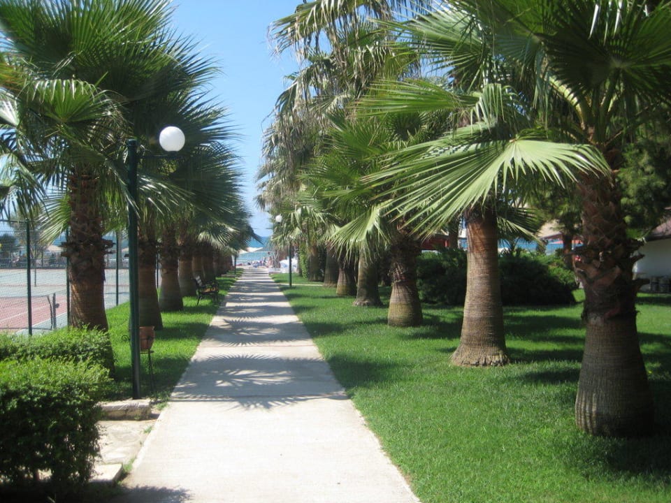 Weg zum Strand Hotel Miramare Beach