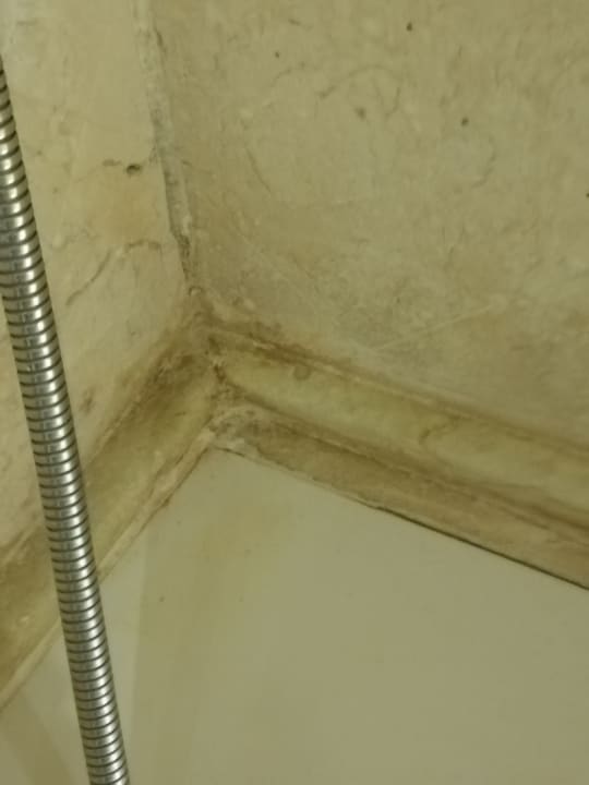 Zimmer Grand Waterworld Makadi & Family Star Makadi