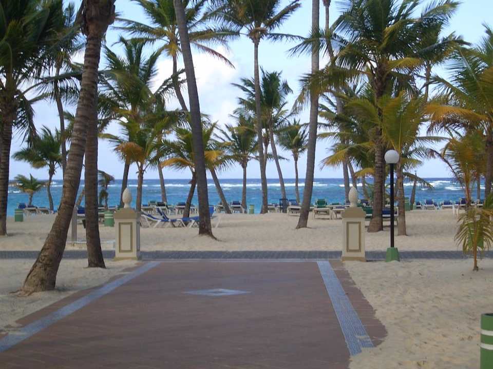 Blick zum Meer Hotel Riu Bambu