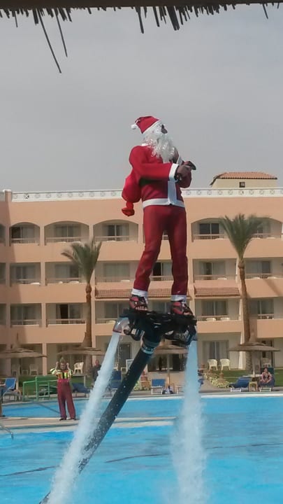 Pool Beach Albatros Resort