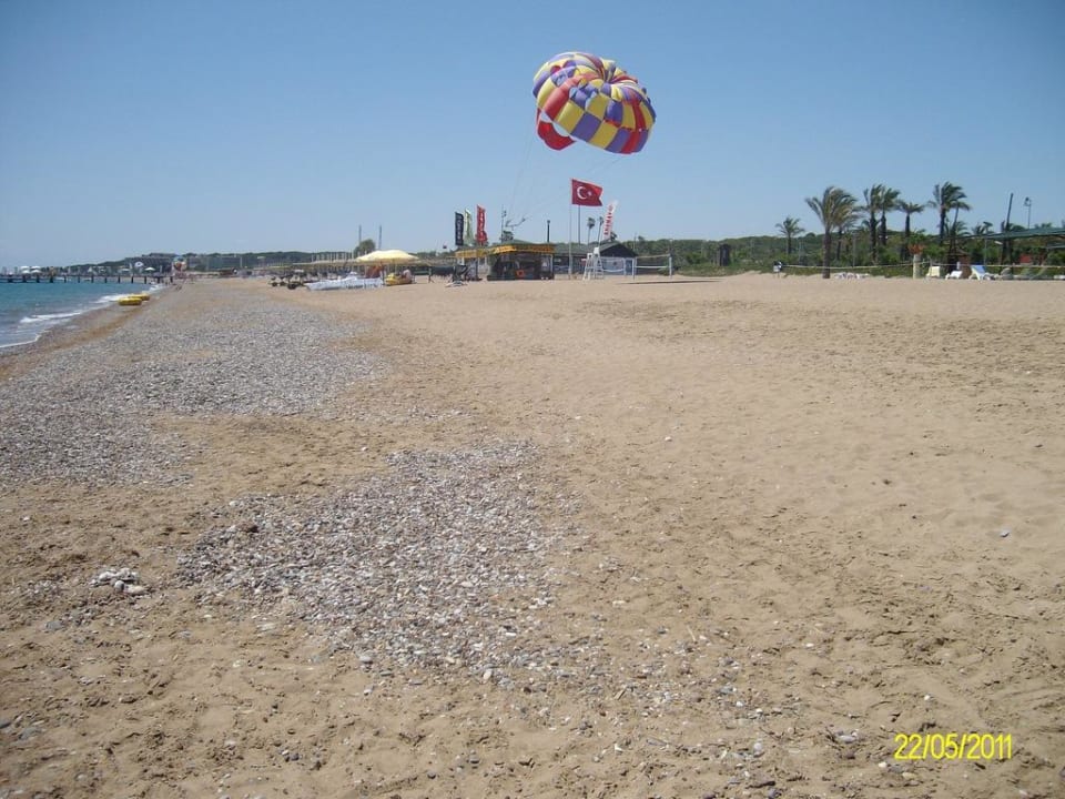 Strand AQI Pegasos World