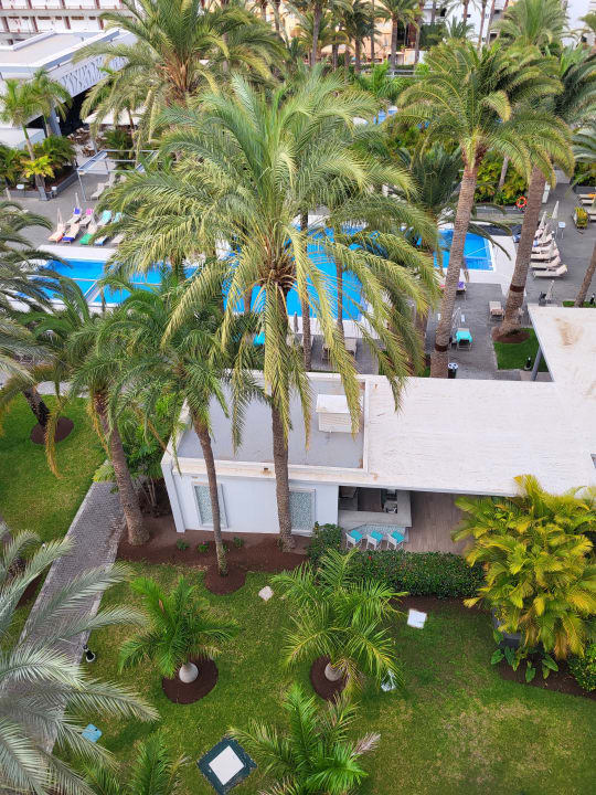 Pool Hotel Riu Palace Palmeras