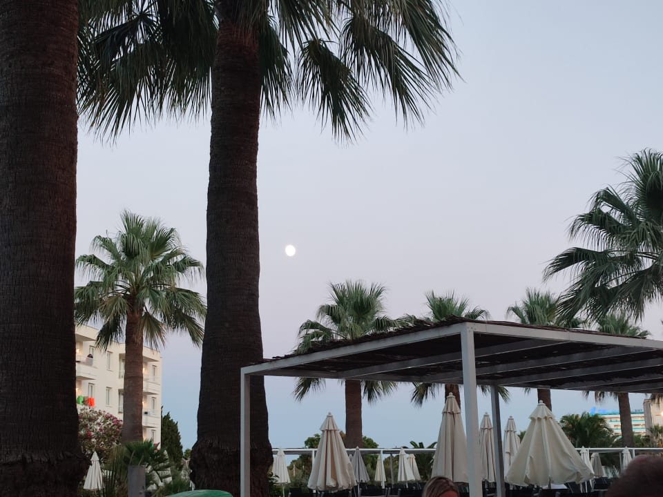 Ausblick allsun App.-Hotel Orient Beach