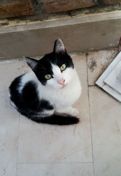 Sonstiges Seaden Corolla Hotel