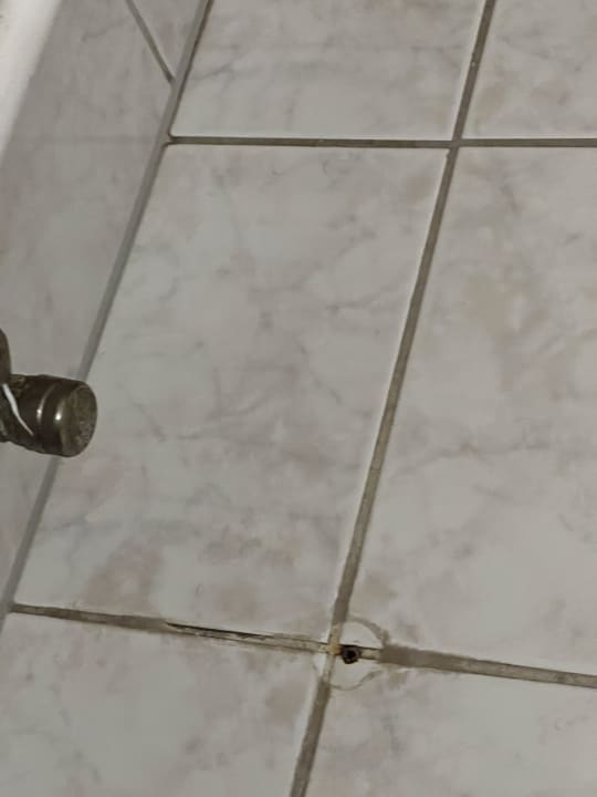 Zimmer Hotel Ahornhof