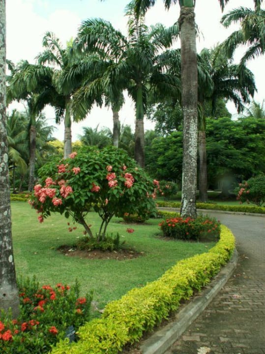 Einfahrt Coco Reef Resort & Spa