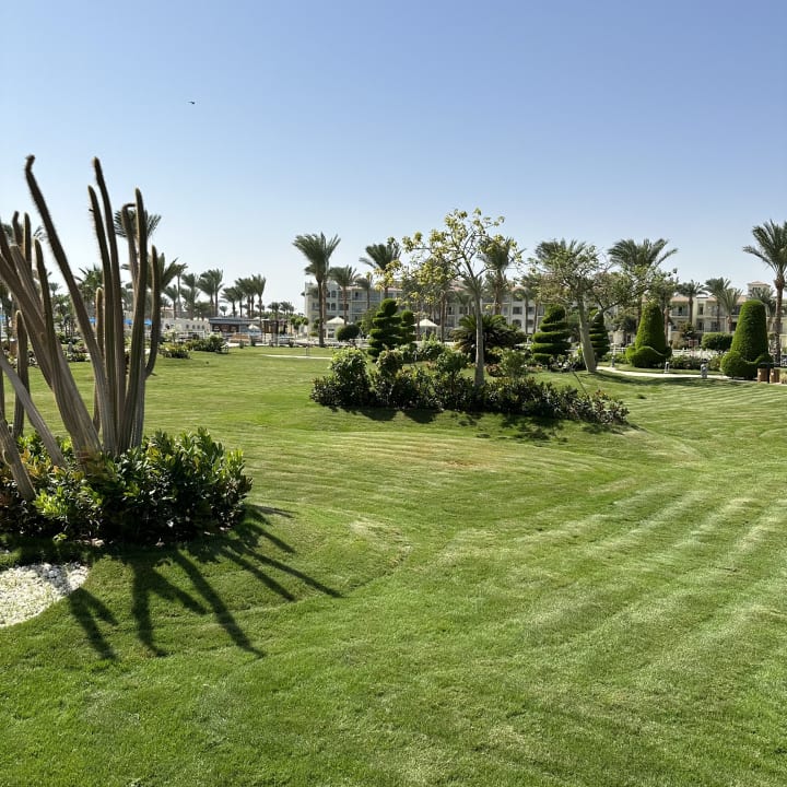 Gartenanlage Pickalbatros Dana Beach Resort - Hurghada
