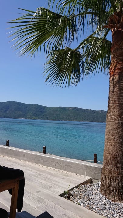 Ausblick TUI MAGIC LIFE Bodrum - Adult Only (16+)