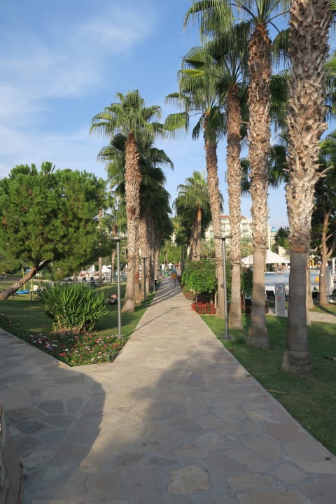 Gartenanlage Arum Barut Collection