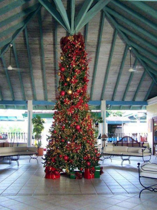 Lobby Viva V Samana by Wyndham – Adults Only