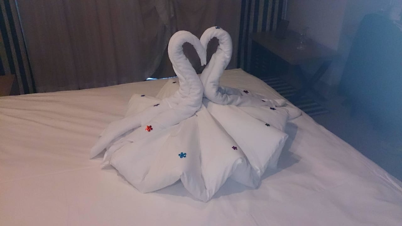 Handtuchtiere Hotel Delphin Imperial