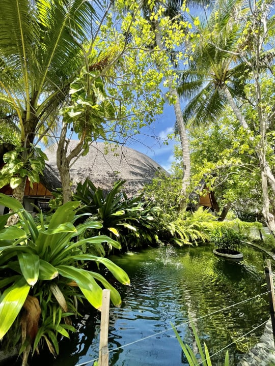 Gartenanlage Thulhagiri Island Resort
