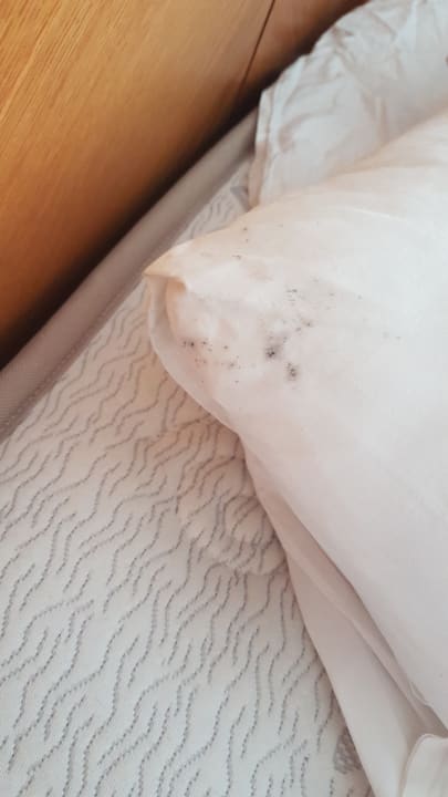 Zimmer Hotel Pine Bay Holiday Resort