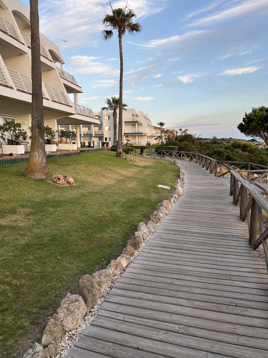 Gartenanlage Iberostar Waves Royal Andalus