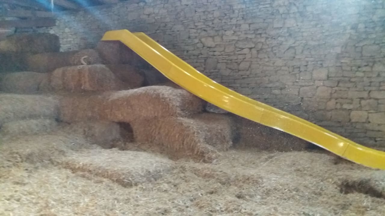 Sport & Freizeit Bauernhof Rittergut Borgholz