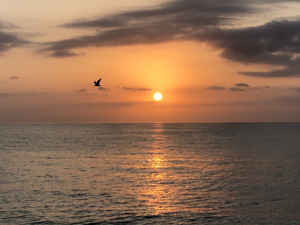 Strand Salalah Rotana Resort