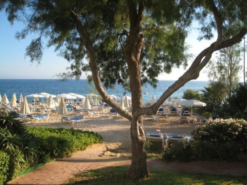 Blick auf den Hotel-Strand Hotel Grecian Sands