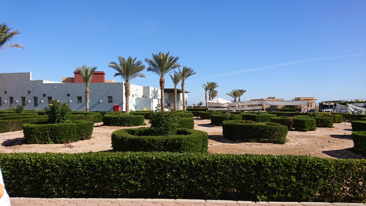 Ausblick Lemon & Soul Makadi Garden