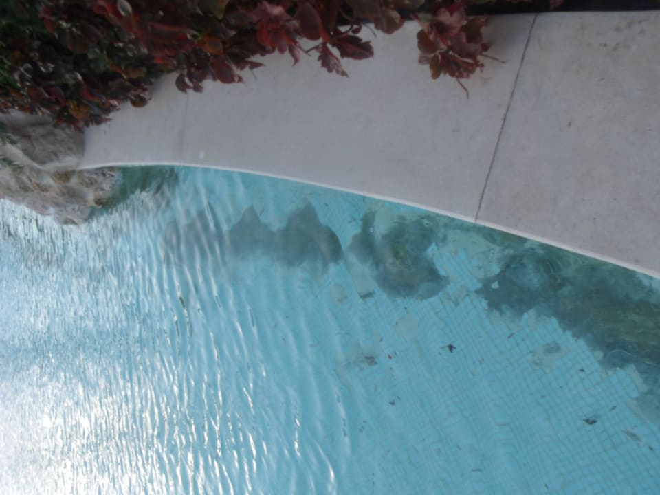 Pool Makadi Spa - Adults only