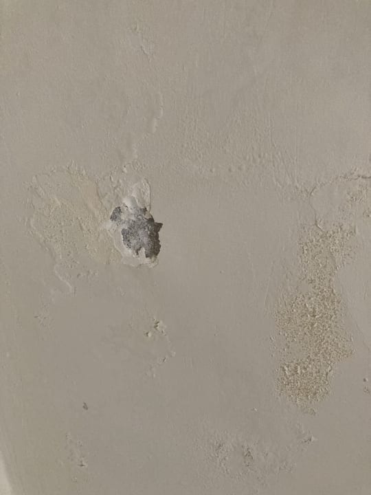 Zimmer Three Corners Sea Beach Resort