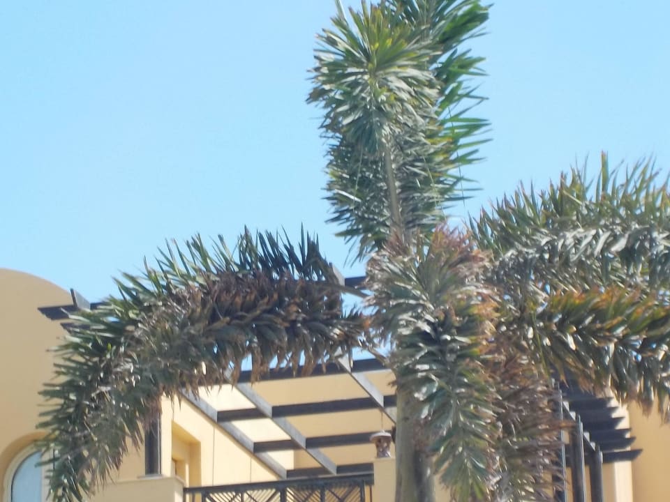 Garten Stella Garden Resort & Spa, Makadi Bay