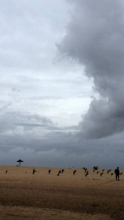 Oha, da kümmt was Hotel Riu Touareg