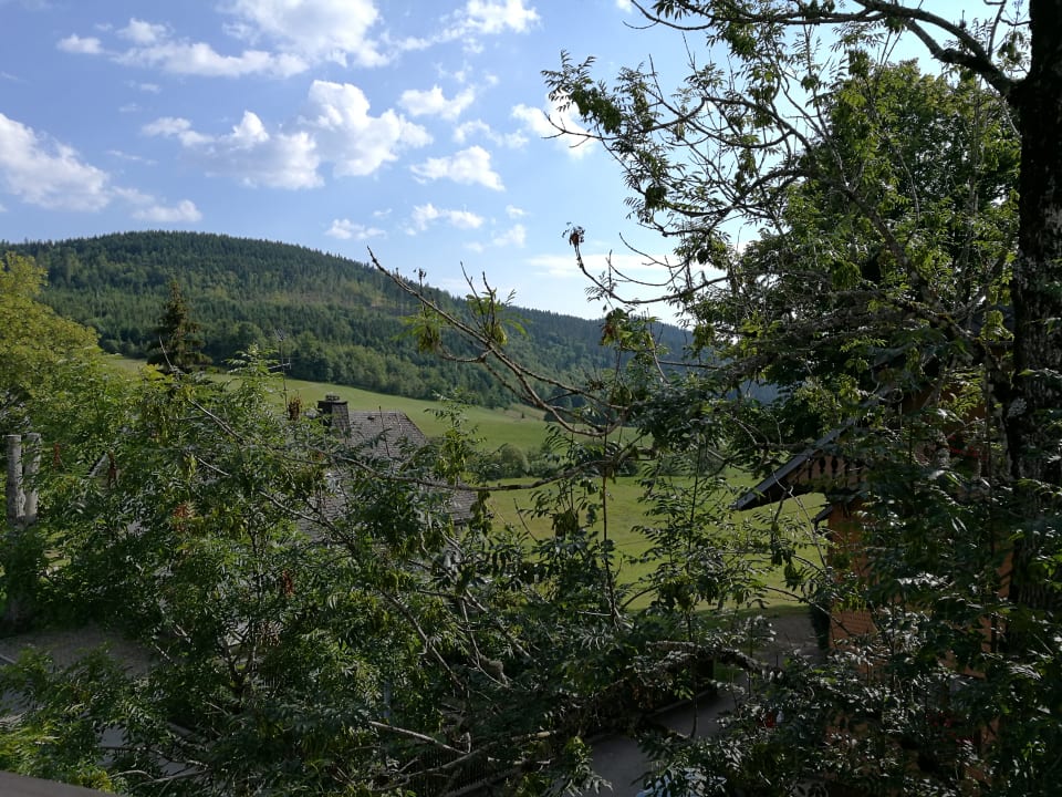 Ausblick derWaldfrieden naturparkhotel