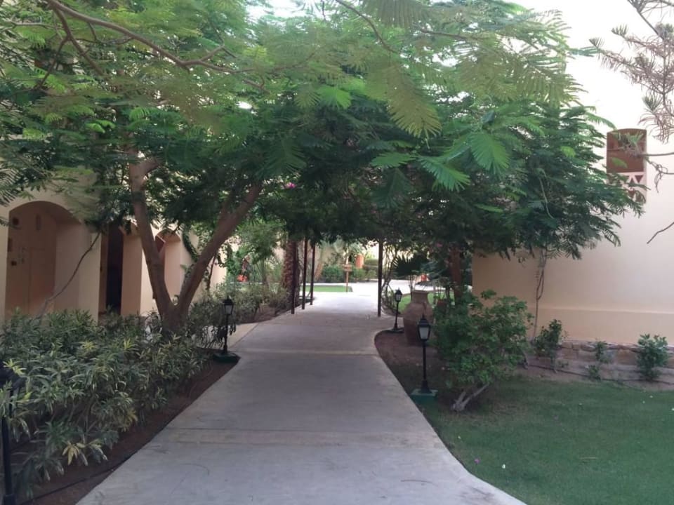 Eines von vielen Gässchen Steigenberger Coraya Beach - Adults only