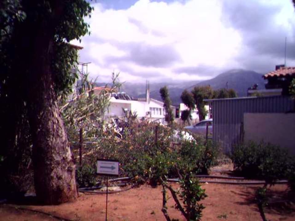 Nachbarbebauung Phãea Cretan Malia