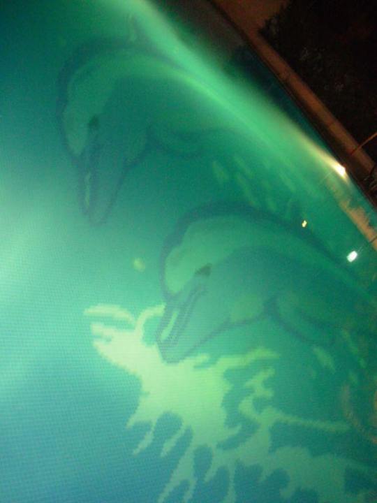 Piscina illumunata di notte Hotel Nesrine