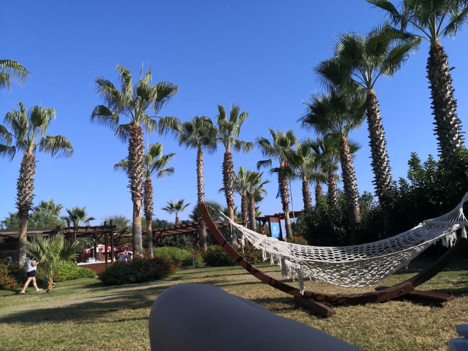 Gartenanlage Saturn Palace Resort Hotel
