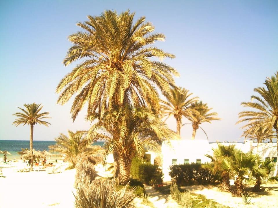 Toilettenbereich am Strand Hotel Sangho Club Zarzis