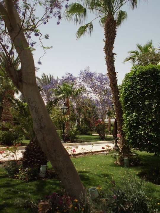 Gartenanlage  The Grand Hotel Hurghada