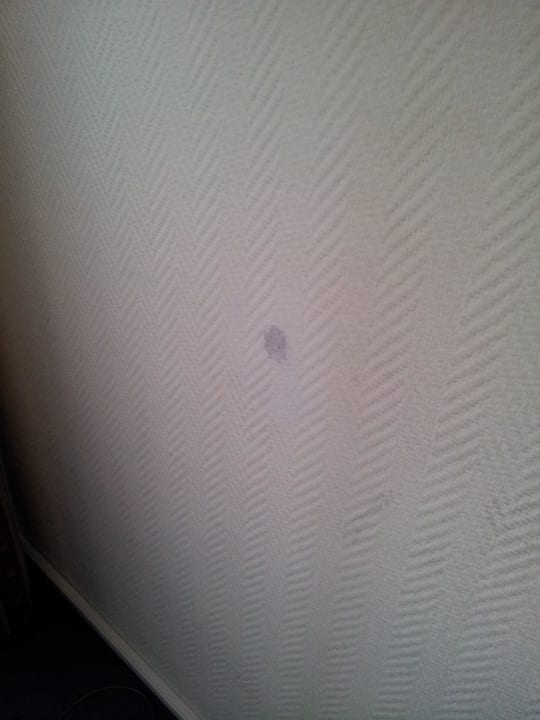 Flecken an der Wand acom Hotel Berlin Kurfürstendamm